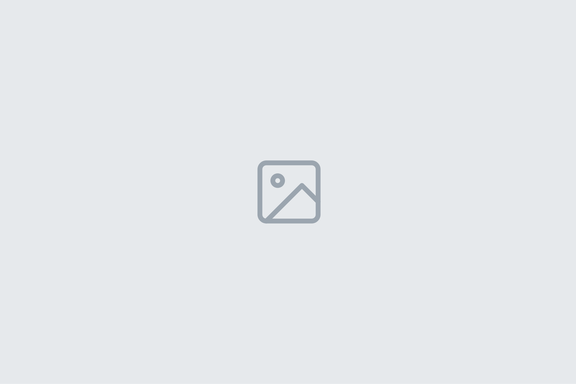 Image de fallback